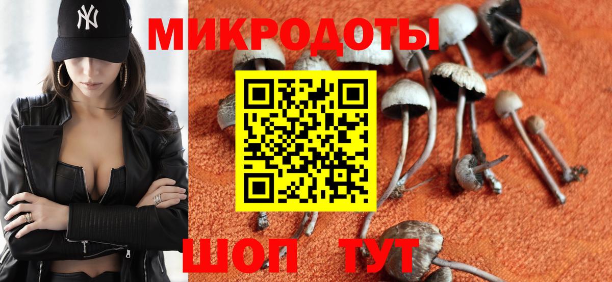 Псилоцибиновые грибы ЛСД  Вход с VPN  наркотики  Армавир  Псилоцибиновые грибы мицелий 