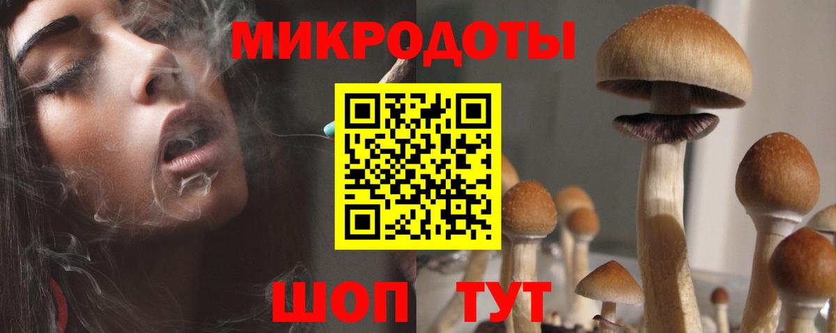 Псилоцибиновые грибы прущие грибы Армавир